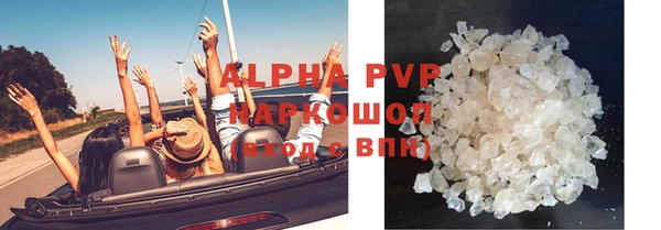 ешки Белокуриха