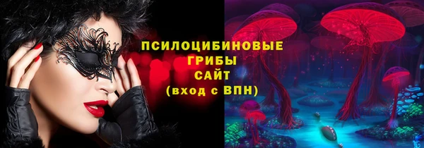 spice Беломорск
