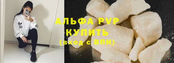 ешки Белокуриха