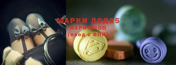 spice Беломорск