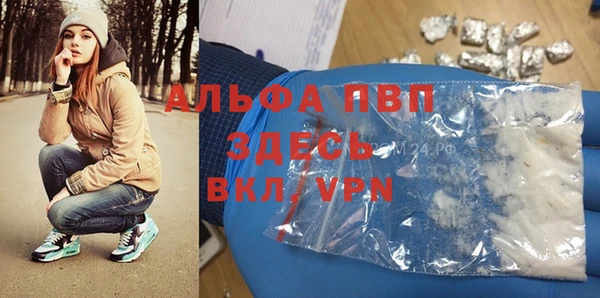ешки Белокуриха