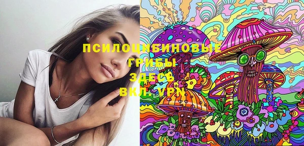 ешки Белокуриха