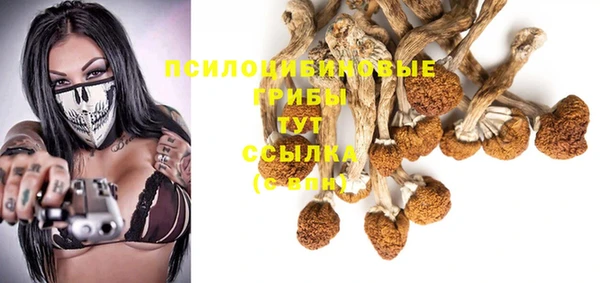 ешки Белокуриха