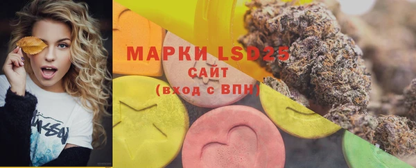 ешки Белокуриха
