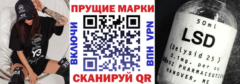 блэк спрут зеркало Туринск Марки N-bome 1500мкг даркнет сайт