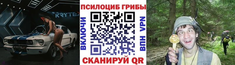 Галлюциногенные грибы GOLDEN TEACHER Туринск